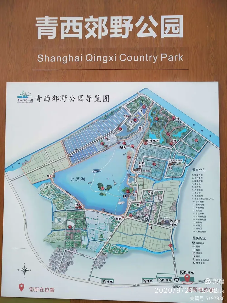 沈红英的美篇:金秋,邂逅金泽古镇,醉美青西郊野公园